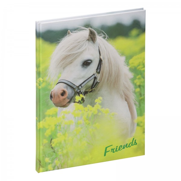 Freundebuch kleines Pony