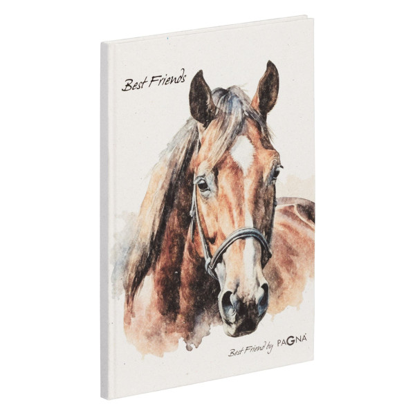 Freundebuch Brown Horse