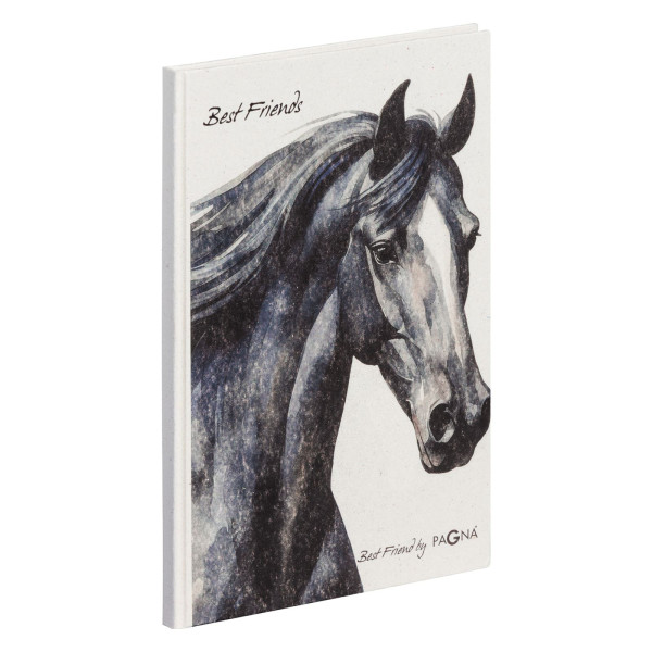 Freundebuch Black Horse