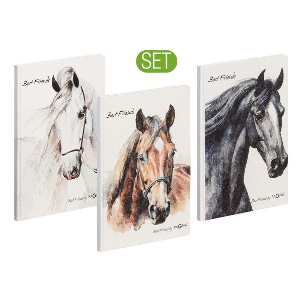 Set Freundebuch Best Friend