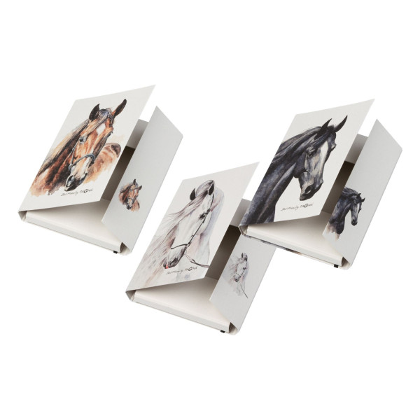 Sammelbox A4 Best Friend