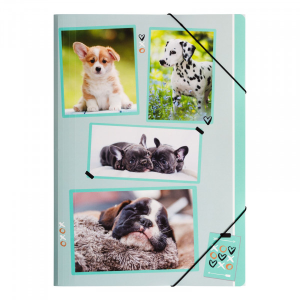 Gummizugmappe A3 PP xoxo Dogs